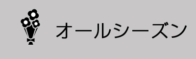 オールシーズン