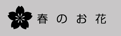 春のお花