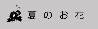 夏のお花