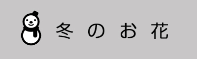 冬のお花