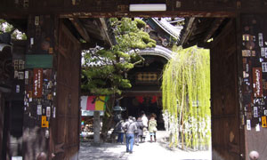 華道家元池坊本部